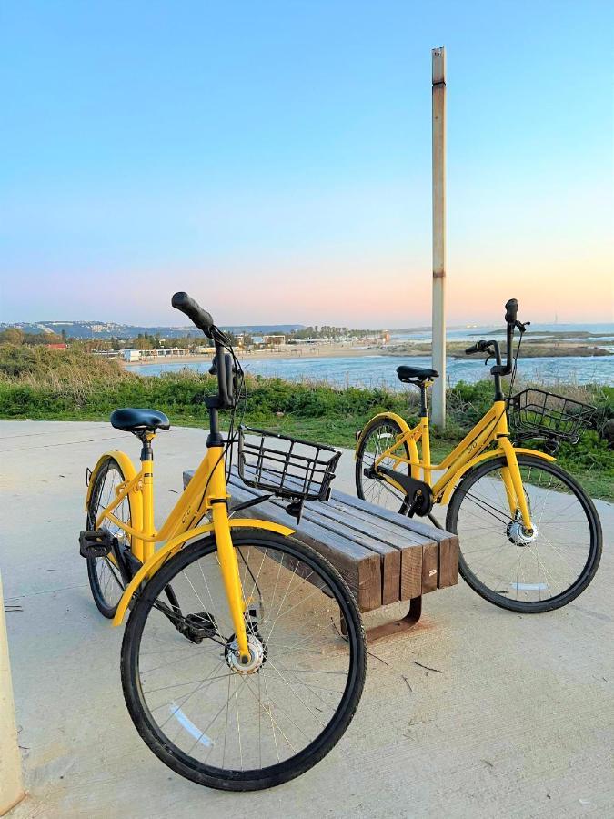 Nachsholim Kibbutz Country Lodging نخولين المظهر الخارجي الصورة
