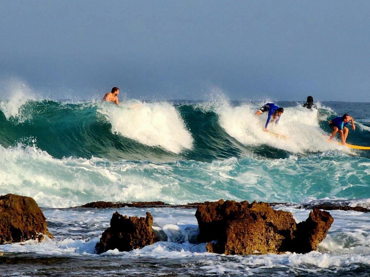 Nachsholim Kibbutz Country Lodging نخولين المظهر الخارجي الصورة