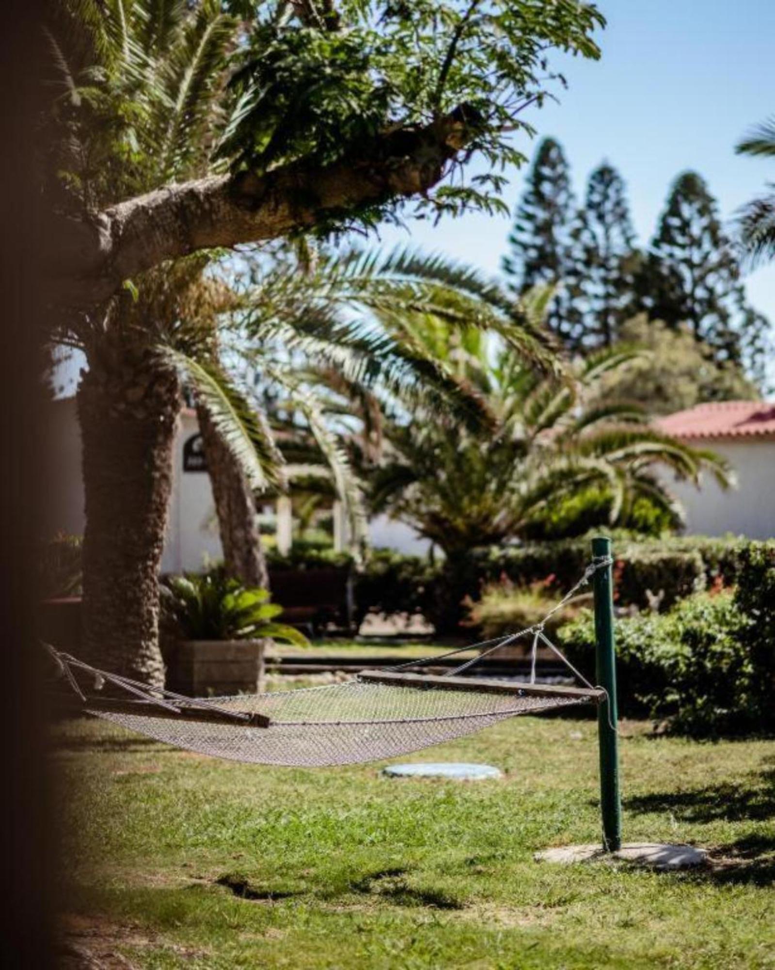 Nachsholim Kibbutz Country Lodging نخولين المظهر الخارجي الصورة